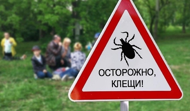 Осторожно клещи.